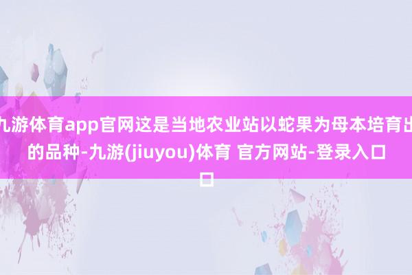 九游体育app官网这是当地农业站以蛇果为母本培育出的品种-九游(jiuyou)体育 官方网站-登录入口