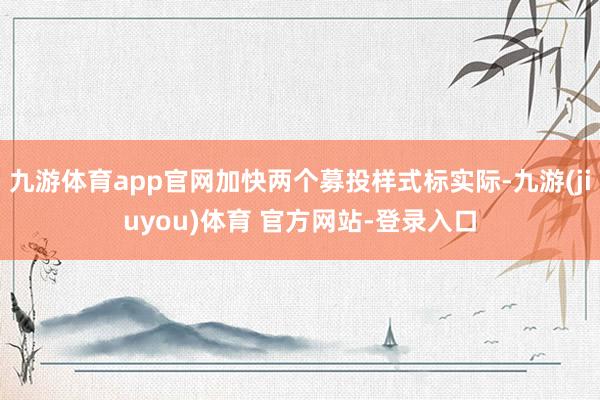 九游体育app官网加快两个募投样式标实际-九游(jiuyou)体育 官方网站-登录入口