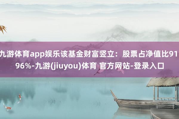 九游体育app娱乐该基金财富竖立：股票占净值比91.96%-九游(jiuyou)体育 官方网站-登录入口